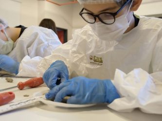 TED KOCAELİ KOLEJİ ORTAOKULUNDA MÜFREDATA İLAVE ÇALIŞMALAR